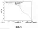 Fig. 10 - Substituted tetrahydroisoquinoline compounds as factor XIa inhibitors
