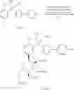 Fig. 11 - Process for the preparation of Canagliflozin