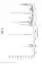 Fig. 03 - Crystalline form of 6-[(4R)-4-methyl-1,2-dioxido-1,2,6-thiadiazinan-2-yl]iosoquinoline-1-carbonitrile