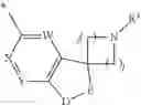 Fig. 06 - Substituted spirocycles