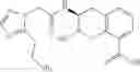 Fig. 305 - Beta-lactamase inhibitors