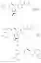 Fig. 88 - Beta-lactamase inhibitors