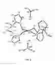 Fig. 03 - Thione-platinum(II) complexes and pharmaceutical compositions thereof
