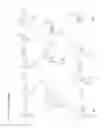 Fig. 03 - Synthesis of bicyclic nucleosides