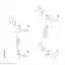 Fig. 06 - Synthesis of bicyclic nucleosides