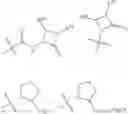 Fig. 292 - Broad spectrum antibiotics