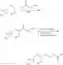 Fig. 345 - Broad spectrum antibiotics