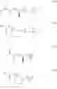 Fig. 456 - Broad spectrum antibiotics