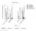 Fig. 05 - ANTIMICROBIAL PEPTIDES