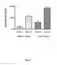 Fig. 05 - Viral inhibitory nucleotide sequences and vaccines