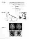 Fig. 03 - Virus-like particles and methods of use