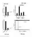 Fig. 05 - Virus-like particles and methods of use