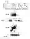 Fig. 09 - Virus-like particles and methods of use