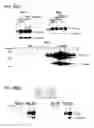 Fig. 80 - Virus-like particles and methods of use