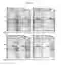 Fig. 05 - Enhanced production of recombinant CRM197 in 
