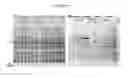 Fig. 06 - Enhanced production of recombinant CRM197 in 