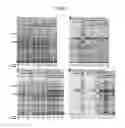 Fig. 08 - Enhanced production of recombinant CRM197 in 