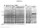 Fig. 10 - Enhanced production of recombinant CRM197 in 