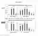 Fig. 24 - Enhanced production of recombinant CRM197 in 