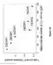 Fig. 11 - HIGH-EFFICIENCY, SODIUM-SPECIFIC, BLUE-SHIFTED CHANNELRHODOPSINS