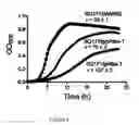 Fig. 08 - Ribosomes with tethered subunits