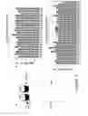 Fig. 10 - Ribosomes with tethered subunits