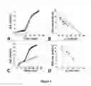 Fig. 04 - Chimeric peptide that interacts with cell membrane gangliosides