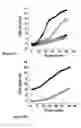 Fig. 06 - Chimeric peptide that interacts with cell membrane gangliosides