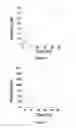 Fig. 09 - Chimeric peptide that interacts with cell membrane gangliosides