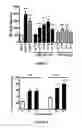 Fig. 06 - Peptide Compounds and Methods of Production and Use Thereof