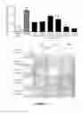Fig. 16 - Peptide Compounds and Methods of Production and Use Thereof