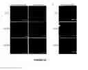 Fig. 19 - Peptide Compounds and Methods of Production and Use Thereof