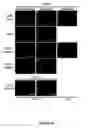 Fig. 20 - Peptide Compounds and Methods of Production and Use Thereof