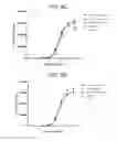 Fig. 08 - GITRL fusion proteins comprising a human coronin 1a derived trimerization domain