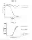Fig. 14 - GITRL fusion proteins comprising a human coronin 1a derived trimerization domain