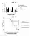Fig. 17 - GITRL fusion proteins comprising a human coronin 1a derived trimerization domain