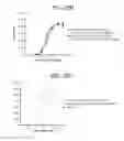 Fig. 23 - GITRL fusion proteins comprising a human coronin 1a derived trimerization domain