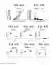 Fig. 48 - GITRL fusion proteins comprising a human coronin 1a derived trimerization domain
