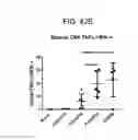 Fig. 52 - GITRL fusion proteins comprising a human coronin 1a derived trimerization domain
