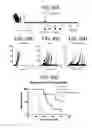Fig. 58 - GITRL fusion proteins comprising a human coronin 1a derived trimerization domain