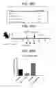 Fig. 59 - GITRL fusion proteins comprising a human coronin 1a derived trimerization domain