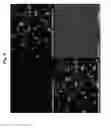Fig. 10 - CD44 BINDING PEPTIDES