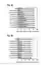 Fig. 04 - Robust antibody purification