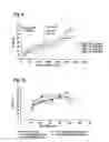 Fig. 07 - Robust antibody purification