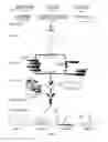 Fig. 02 - Humanized antibodies