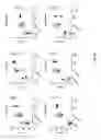 Fig. 05 - Humanized antibodies