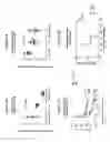 Fig. 07 - MrkA Polypeptides, Antibodies, and Uses Thereof