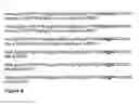 Fig. 08 - METHODS OF TREATING INFLAMMATORY PAIN