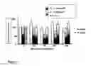 Fig. 09 - METHODS OF TREATING INFLAMMATORY PAIN