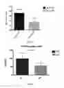 Fig. 02 - COMPOSITIONS AND METHODS FOR ANTI-LYST IMMUNOMODULATION